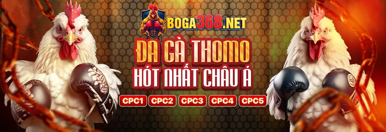 visabet chính thức VIP Program Hero Image